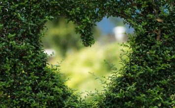 Explaining Love To Someone That Has Not Been in Love